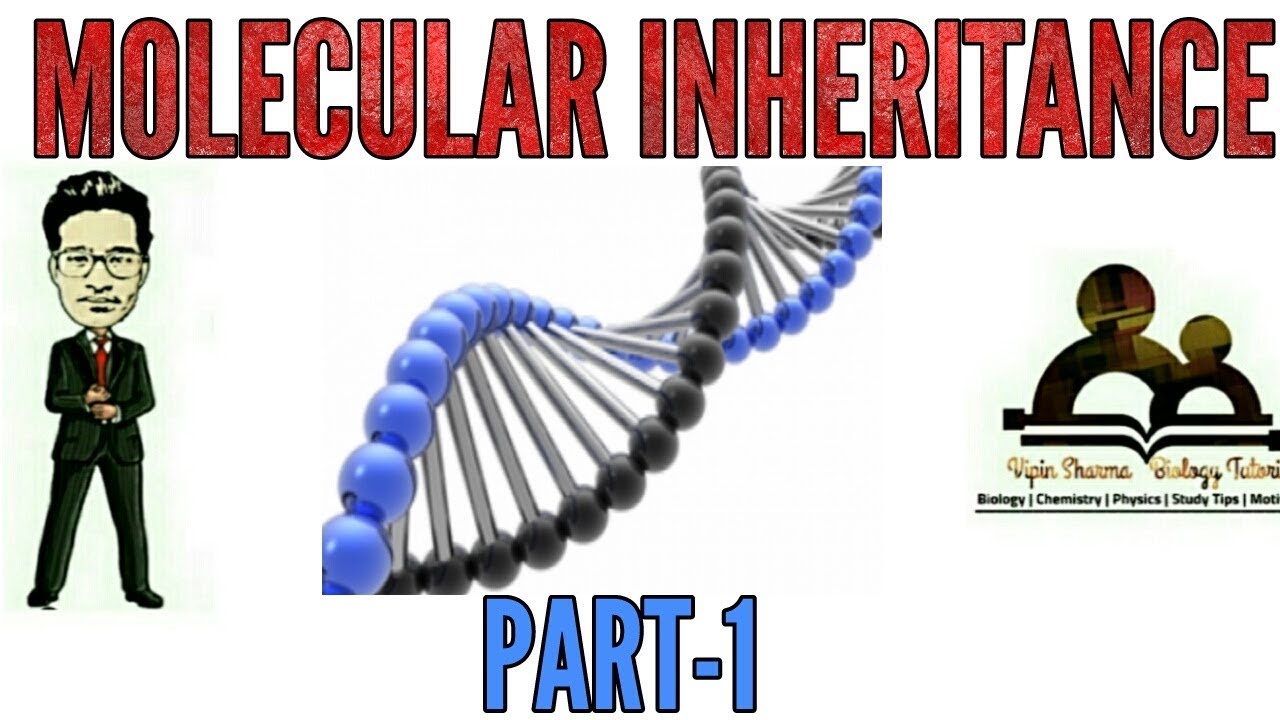 Molecular Basis Of Inheritance Simplified (Part 1) For NEET - Get Guidance