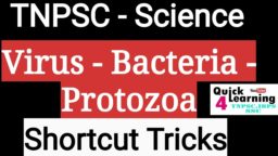 TNPSC coaching classes in chennai