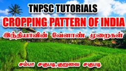TNPSC coaching classes in chennai