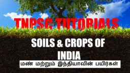 TNPSC coaching centre Chennai