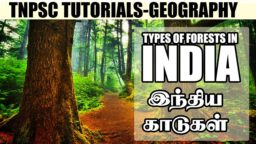 TNPSC coaching classes in chennai